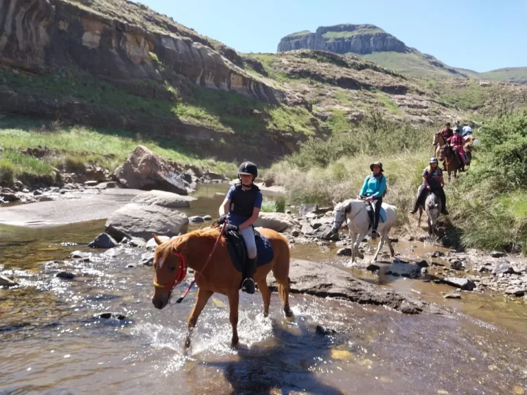 Steepside horse ride crossing a mountain river near Rhodes